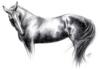 Схема вышивки «Чистокровная скаковая лошадь»