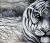 Схема вышивки «Зима, белый тигр»