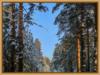 Схема вышивки «Зимний лес и небо»