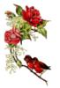 Схема вышивки «Птицы и розы»