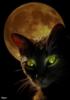 Схема вышивки «Кошка на луне»