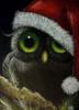 Схема вышивки «Christmas Owl»