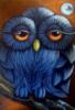Схема вышивки «Magic Owl»