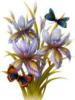 Экзотические цветы и бабочки: оригинал