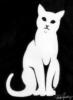 Силуэт кошки на чёрном: оригинал
