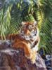 Суматранский тигр: оригинал