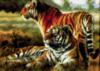 Тигры: оригинал