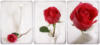 Триптих "Роза и ваза" : оригинал
