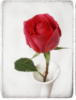 Схема вышивки «Триптих "Роза и ваза" »