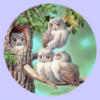 Схема вышивки «Owls»