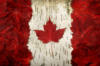 Флаг канады: оригинал