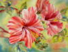 Схема вышивки «Цветы, Marianne Broome»