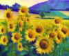 Sunflower Field: оригинал