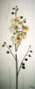 Схема вышивки «Орхидеи триптих 3»