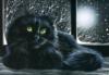 Чёрная ночь и чёрный кот: оригинал