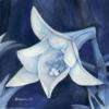 Схема вышивки «White Flowers on Blue - Easy»