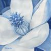 Схема вышивки «White Flowers on Blue - Easy»
