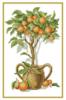 Апельсиновое дерево: оригинал