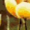 Букет Желтых тюльпанов: предпросмотр
