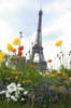 Схема вышивки «Париж весной»