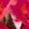 Розовые Лилии: предпросмотр