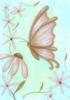Butterflies & Flowers: оригинал