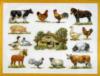 Схема вышивки «Домашние животные»