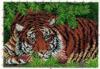 Схема вышивки «Тигр под елью»