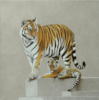 Тигрица с тигренком: оригинал