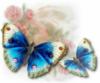 Бабочки на цветах: оригинал