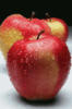 Схема вышивки «Спелые яблоки»