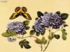 Схема вышивки «Цветы и бабочка»
