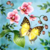 Схема вышивки «Орхидеи и бабочка»