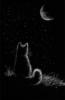 Кошка и Луна: оригинал