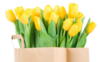 Желтые тюльпаны: оригинал