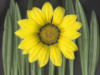 Схема вышивки «Желтый цветок»