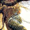 Схема вышивки «Подушка Дикая кошка (леопард)»