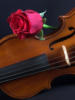 Схема вышивки «Роза и скрипка»
