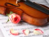 Схема вышивки «Скрипка и роза»