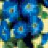 Синие цветы: предпросмотр