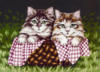 Схема вышивки «Серия "Котята"»