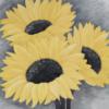 Схема вышивки «Sunflowers Close Up»