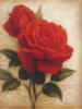 Красные Розы: оригинал