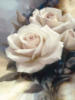 Схема вышивки «Белые Розы»