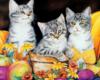 Схема вышивки «Кошки, животные, картина»
