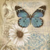 Схема вышивки «Бабочка и ромашка»