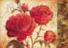 Схема вышивки «Красные розы 2»