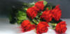 Схема вышивки «Red roses»