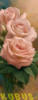 Схема вышивки «Розовые розы 2»