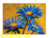 Синие цветы: оригинал